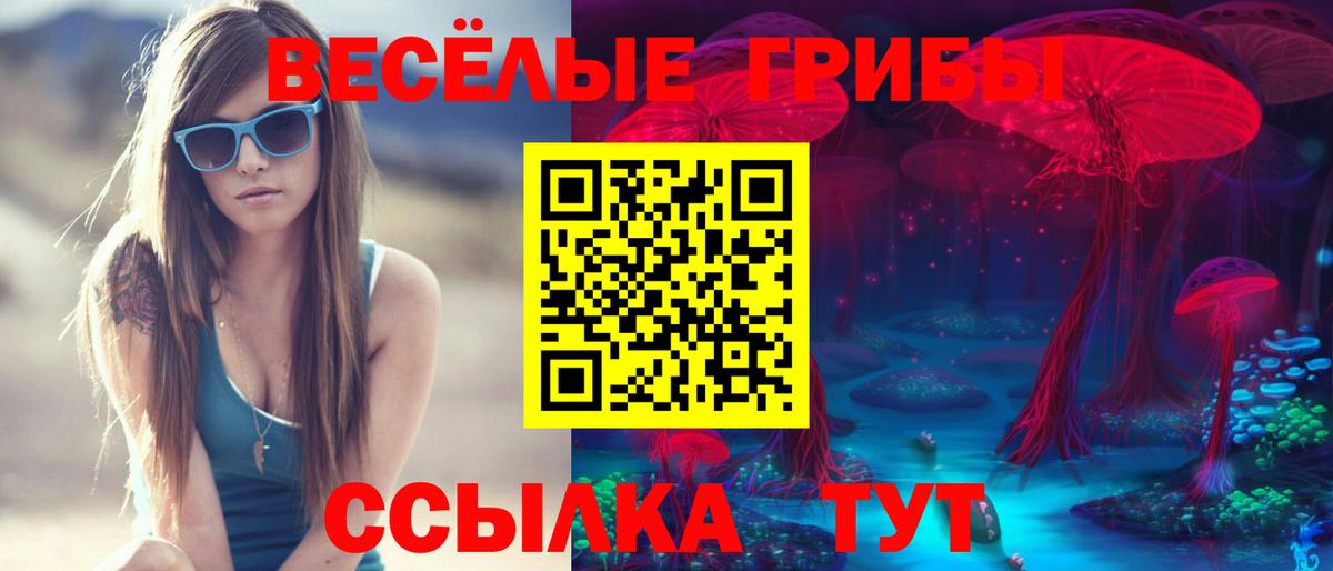 Кизилюрт  Галлюциногенные грибы Psilocybe  цены наркотик  Вход с VPN  Галлюциногенные грибы прущие грибы 